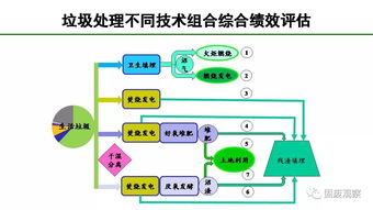 選擇性分類 求真務(wù)實的中國垃圾分類新模式